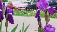 Иду на занятия 05.05.25.