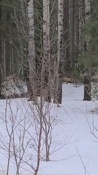 по дороге на чусовую