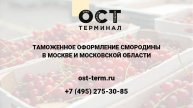 Растаможка смородины