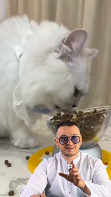 Ошибки при запоре