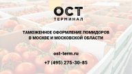 Растаможка помидоров