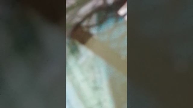 этот канал не заброшан