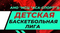Молния (Острогожск) - Тигры