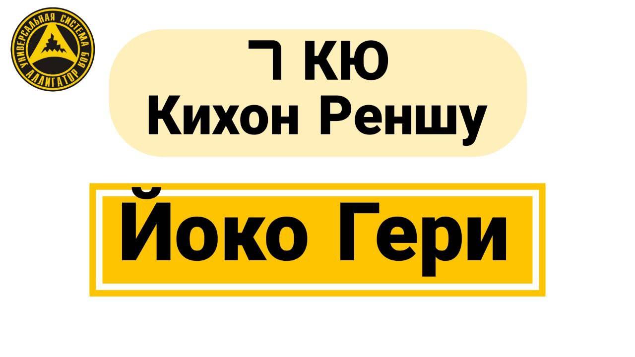 7 Кю Кихон Реншу: Йоко Гери
