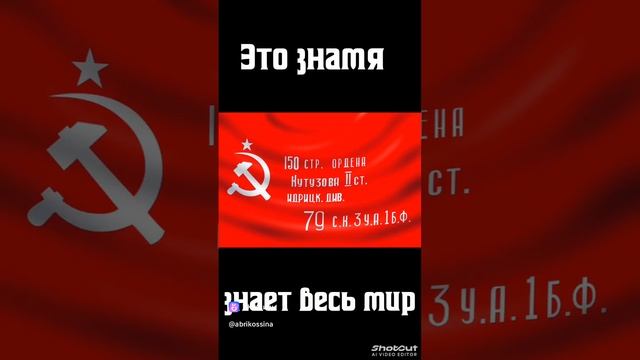 clip269886539_456241152.mp4