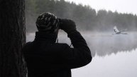 Приехали на рассвете к лесному водоёму, и вот ЧТО МЫ УВИДЕЛИ - подлетели на дроне к хатке бобра - ж