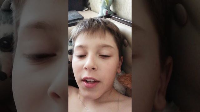 подписочка нужна