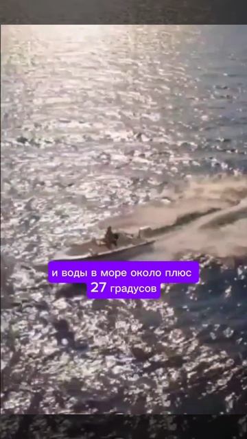 Недвижимость Болгарии Сезон на Солнечном Берегу начинается в середине мая