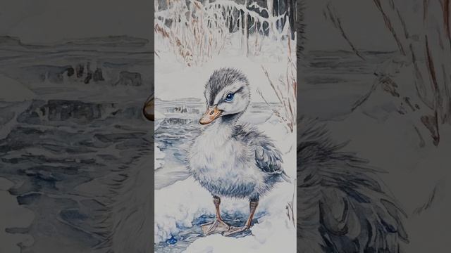Серая шейка Автор В.Долина