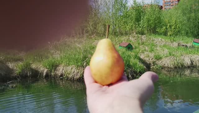 Сплав по Яузе от ЖД ст. Мытищи до МКАДа