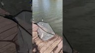 1000054022.mp4