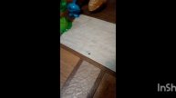 растения против зомби 11 серия