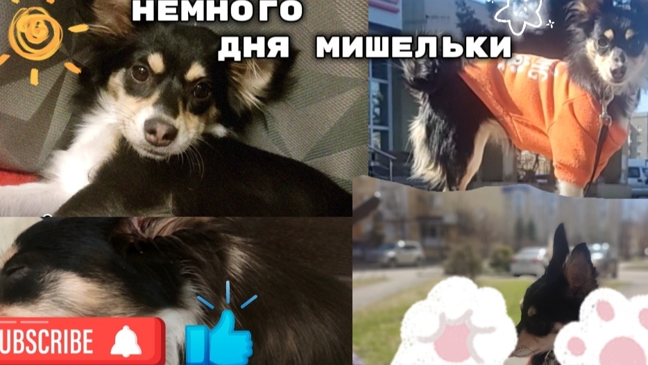 Не много дня мишельки