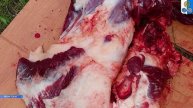 благотворительная акция,