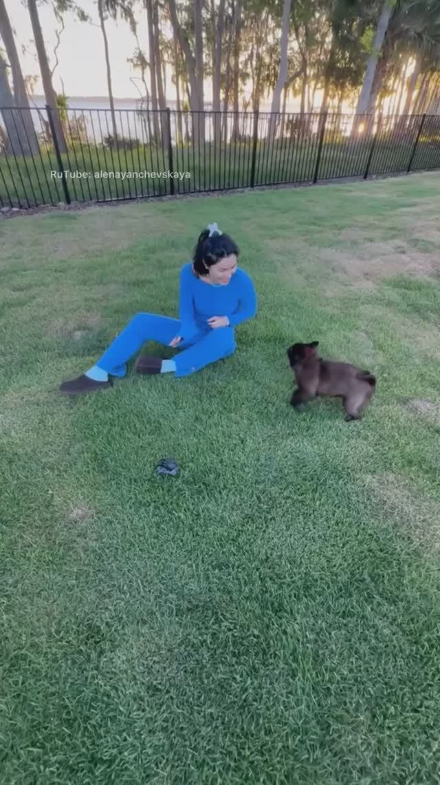 Happiness 🐾🤍