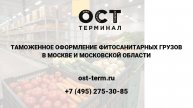 Растаможка фитосанитарных грузов