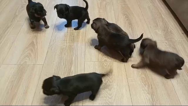 1000009948.mp4