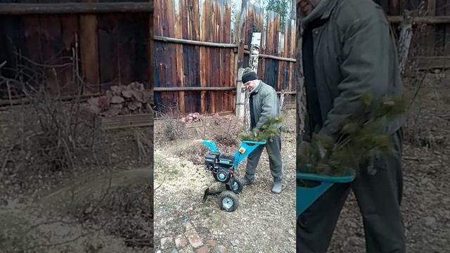 Работа бензинового измельчителя Oasis BL-7 (спилил болгаркой ограничитель на входе).mp4