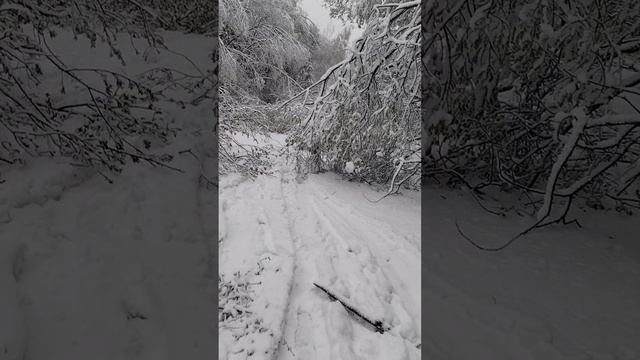 1000025721.mp4