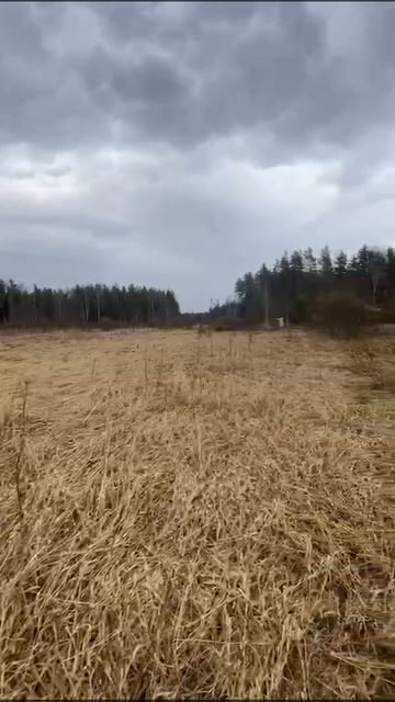 Участок 21.3 стоки в коттеджном поселке Ягодное