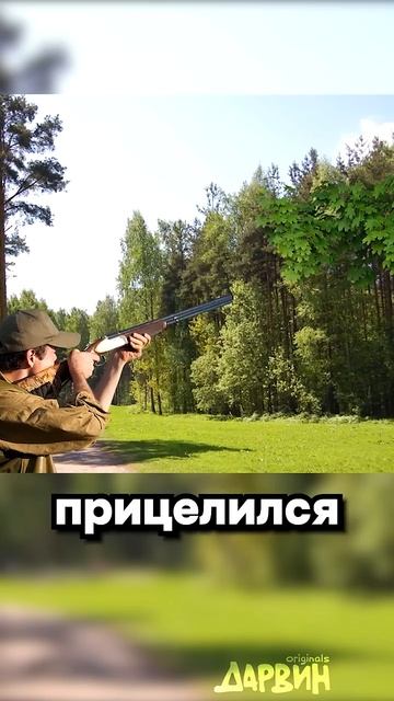 история ,охотник  потсрелил друга по ошыбке ???? или нет