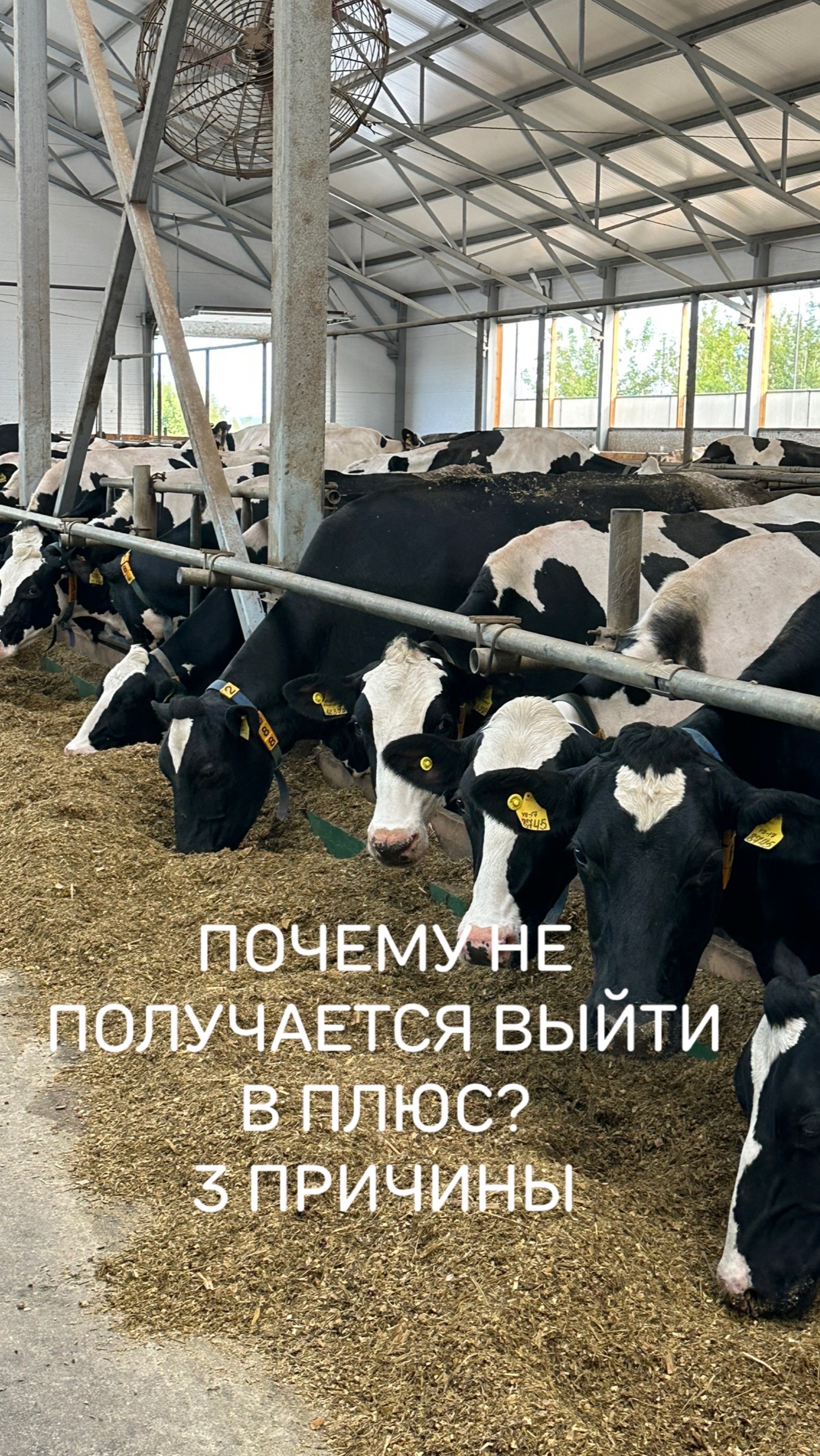 Почему ферме не удается выйти в прибыль?
