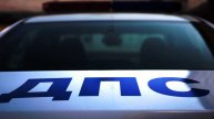 Сбежавшая лошадь запрыгнула на капот авто и устроила ДТП в Хабаровске