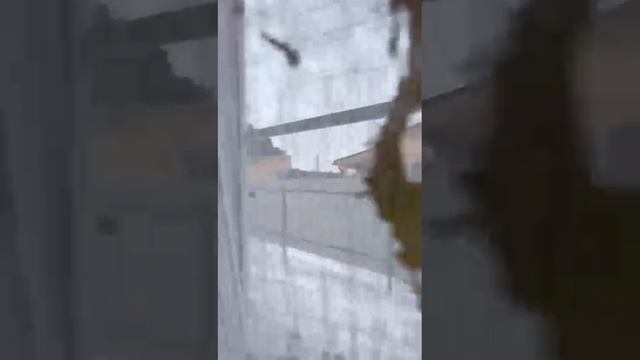 1000086502.mp4