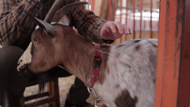 Паводок (ролик)