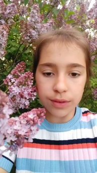 Leylak çiçeği | сирень