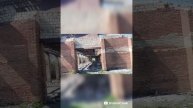 за горизонтом событий