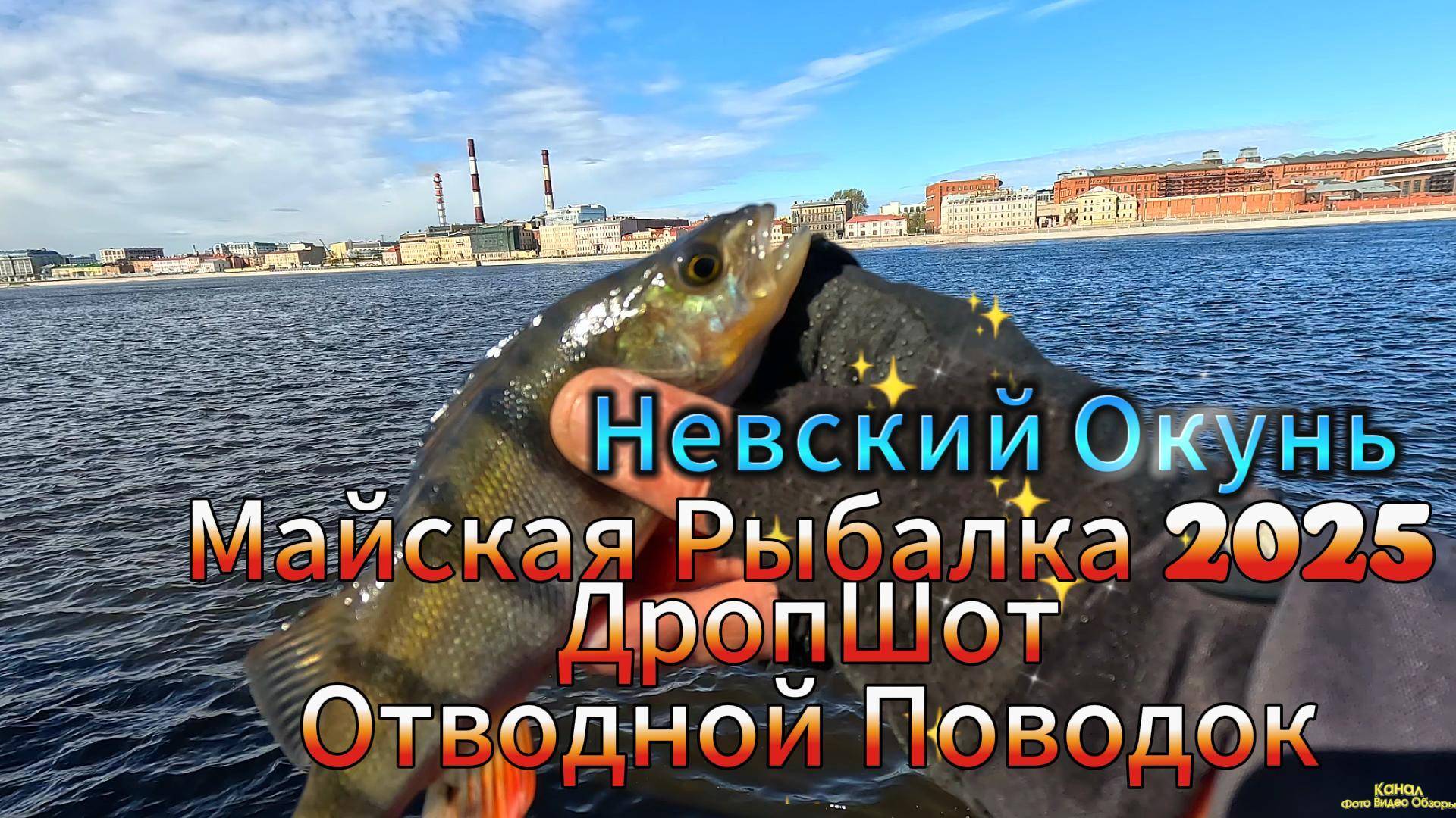 ОТВОДНОЙ ПОВОДОК ДРОПШОТ НЕВА РАЗДАЧА ОКУНЯ КРОМЕ ЕГО ЛОВИЛАСЬ ЕЩЁ КОЕ ЧТО ТРОФЕЙНЫЙ РАЗМЕР