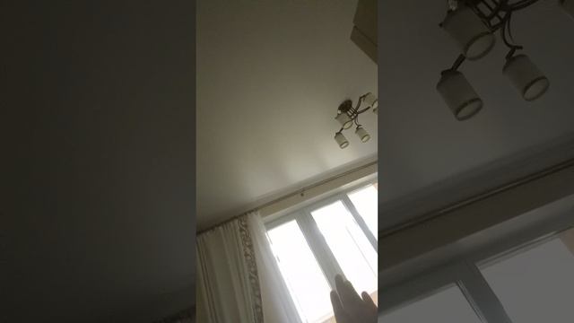 1000000713.mp4