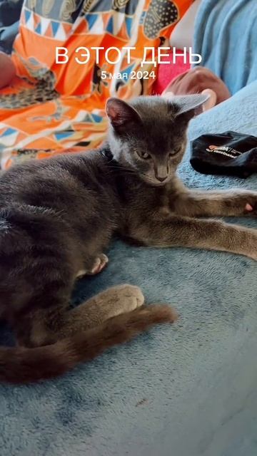 Ну положу завтра на интернет!  Котик 🐈⬛