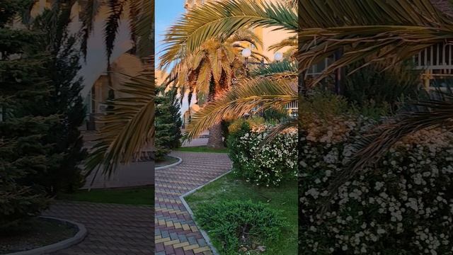 Абхазия Гагра