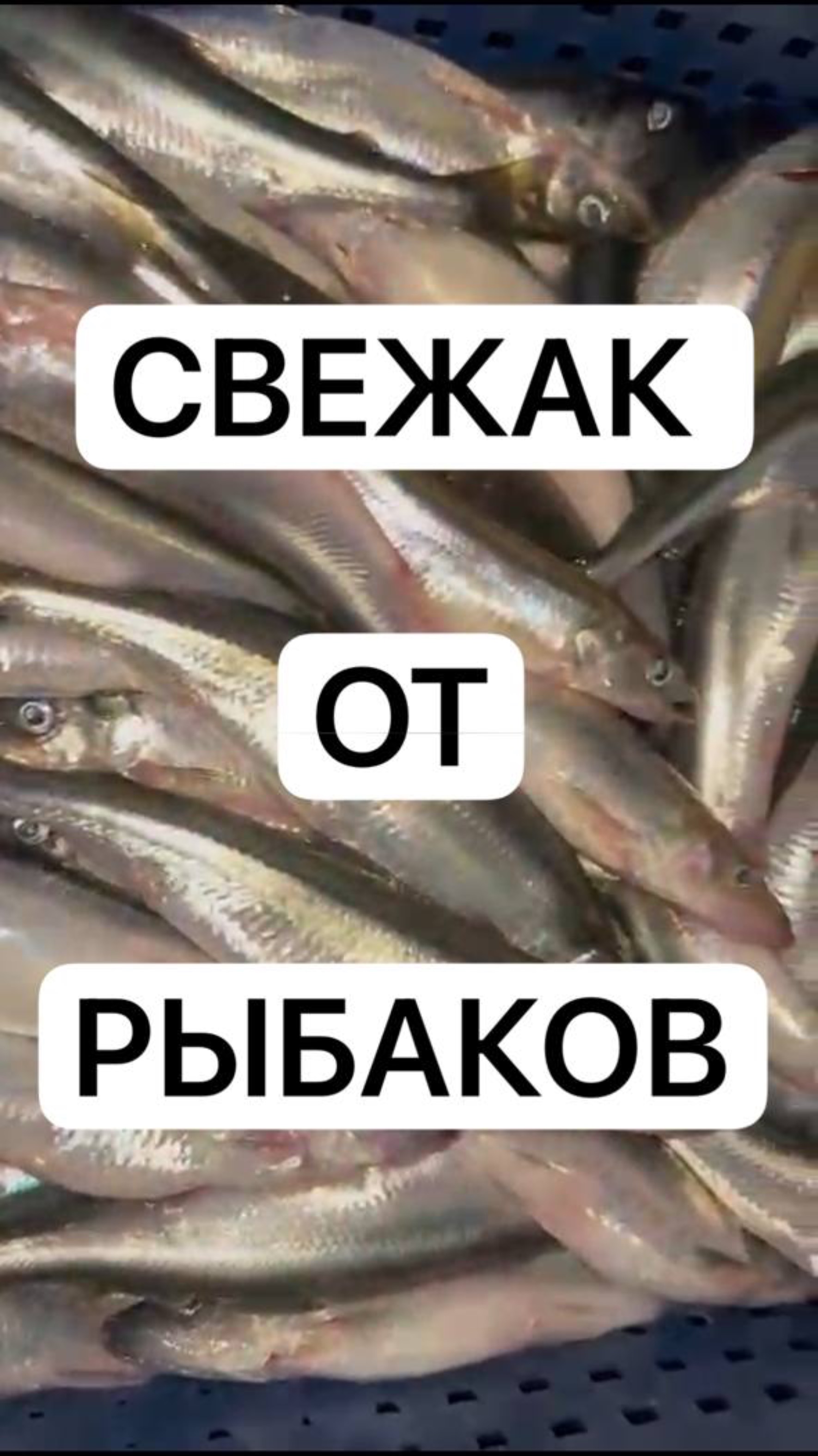 da9841c2-72d1-40dd-992d-be3f9867824c