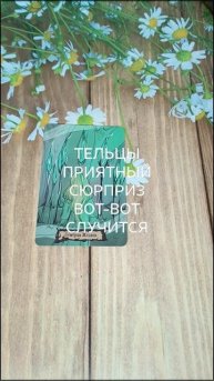#ТЕЛЬЦЫ ПРИЯТНЫЙ СЮРПРИЗ ВОТ-ВОТ СЛУЧИТСЯ НА ПОРОГЕ💕💖💖#ГаданиеНаБудущее #ТароГадание
