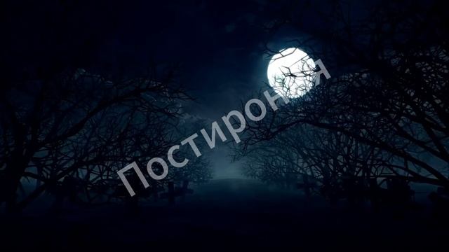 Интро на заказ для видео №10