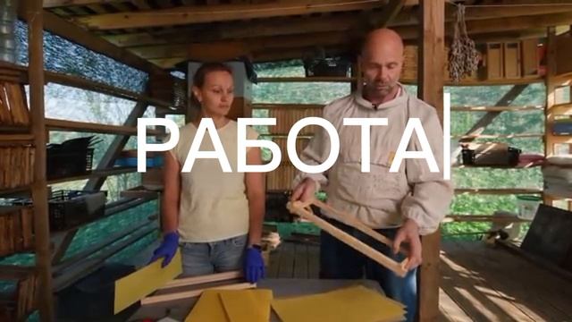 Профессия пчеловод