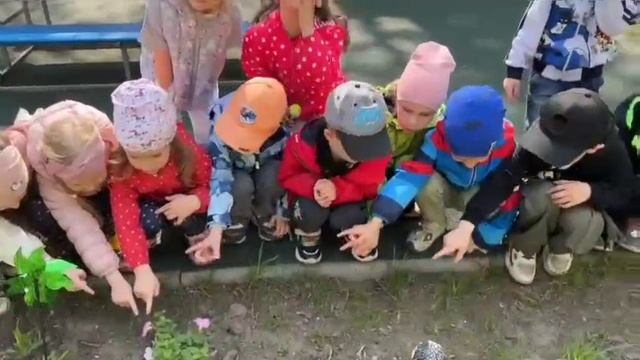 Весеннее настроение!