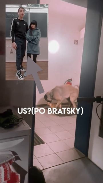0dd584a6-fc4d-4fb2-b078-cff02efe586c-1_all_4326.mp4