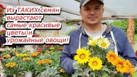 Готовимся к новому сезону. Посылка с семенами овощей и цветов. Обзор.