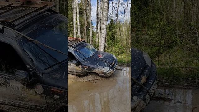 Полная Оредеж 2025