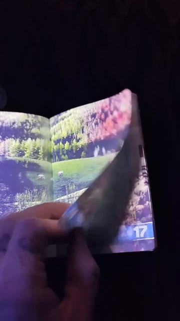 Как выглядит паспорт Латвии под ультрафиолетом