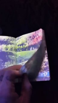 Как выглядит паспорт Латвии под ультрафиолетом