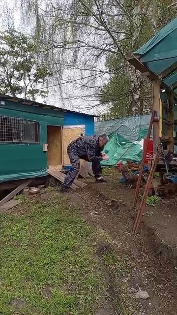 Петух