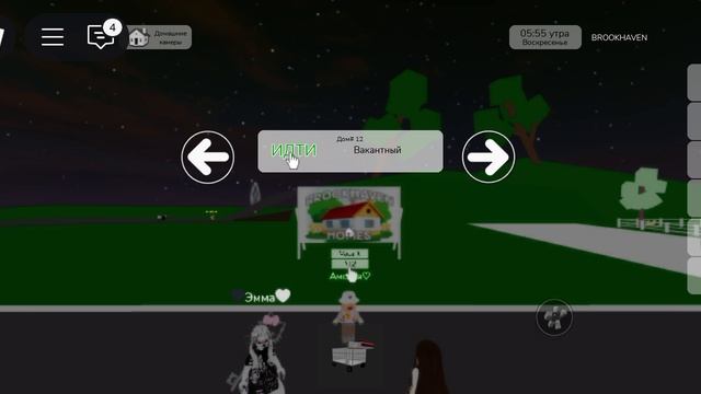 играем в сумасшедший хаус в брукхевен