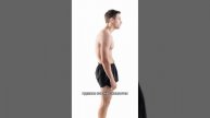 Бесплатный мини-курс по осанке и функциональным тренировкам True Motion