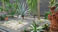 Тропический парк Нонг Нуч (Nong Nooch Tropical Garden) Таиланд Паттайя Парк