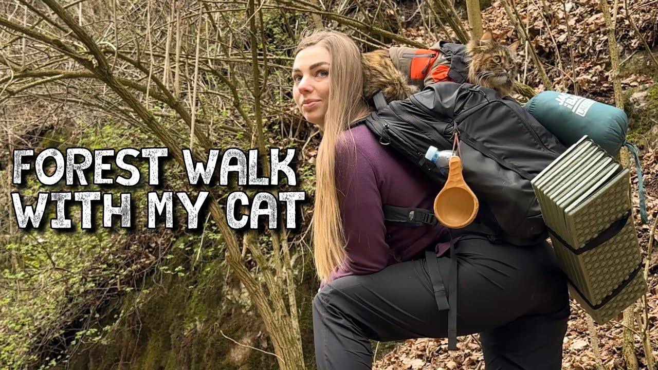 Прогулка по лесу с моим котом 🐾 Готовлю лосось со сливками и кофе у реки | КАК МИСТЕР Соло отдыхает